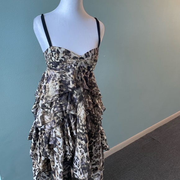 Animal Print Ruffle Dress - Picture 2 of 4